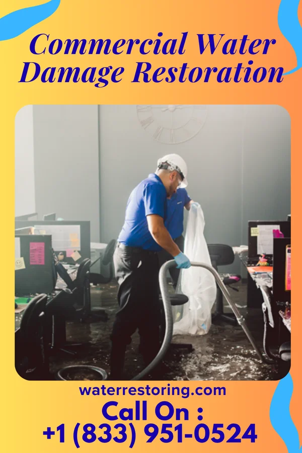 Commercial Water Damage Restoration in Marrowstone, WA